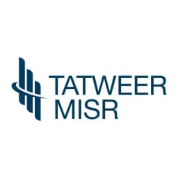 شركة تطوير مصر