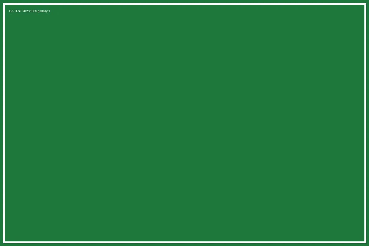 QA-TEST-20261009 project - 2