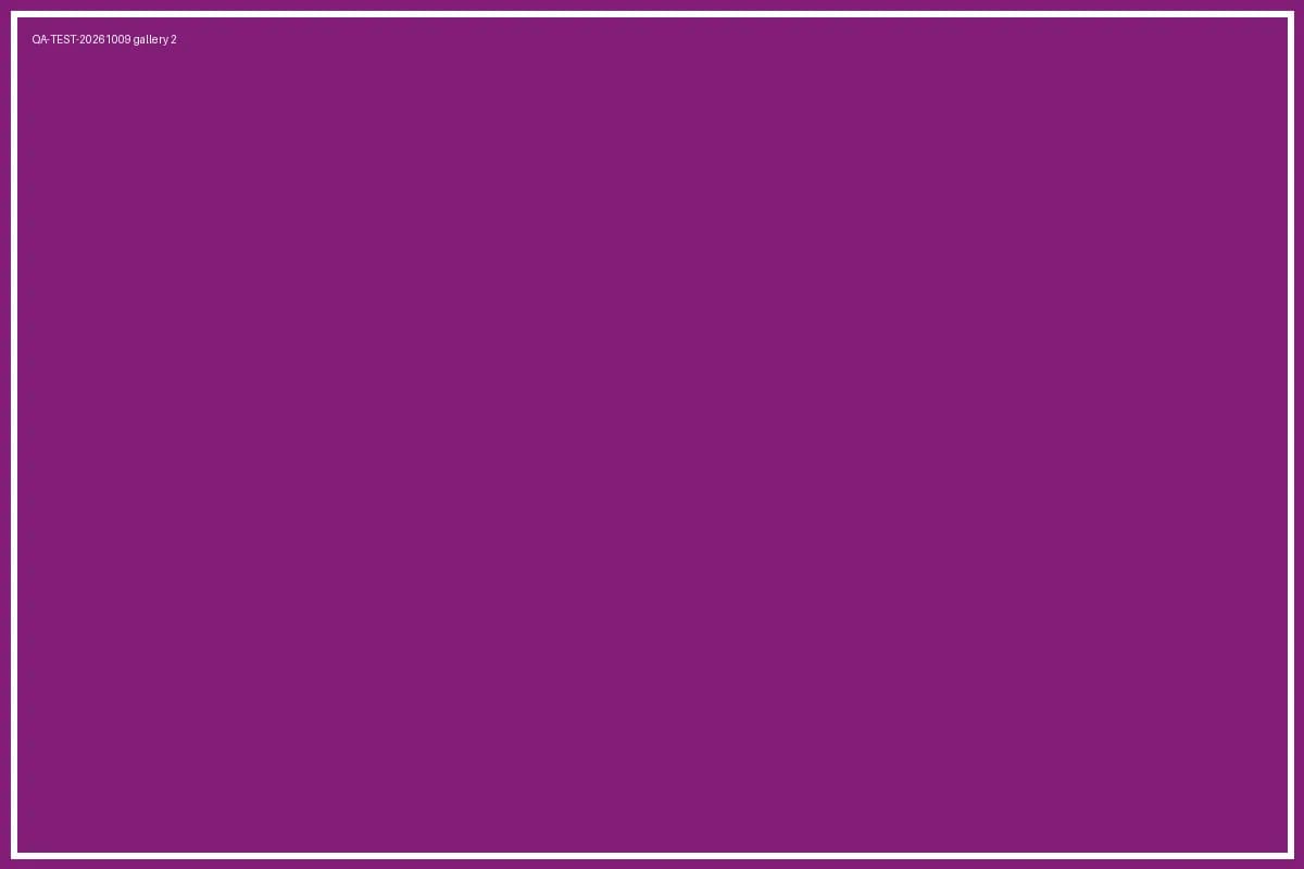 QA-TEST-20261009 project - 3